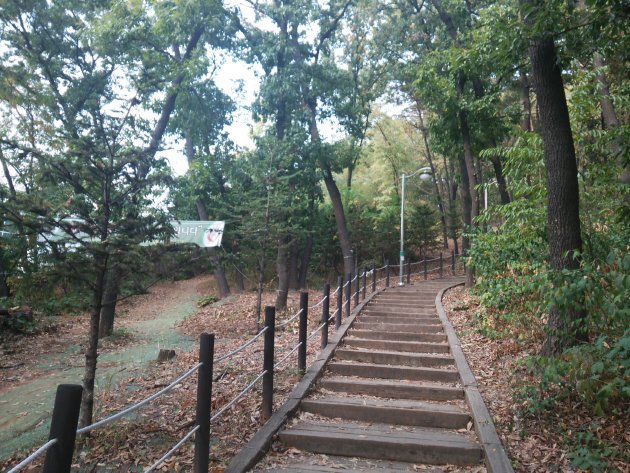 霊通中央公園内の散策路